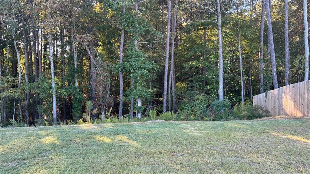 117 Red Maple Way Adairsville, GA 30103 - Photo 42 of 44 a view of a trees and yard