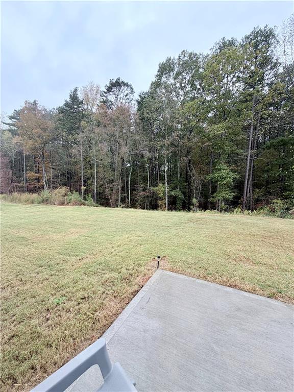 117 Red Maple Way Adairsville, GA 30103 - Photo 44 of 44