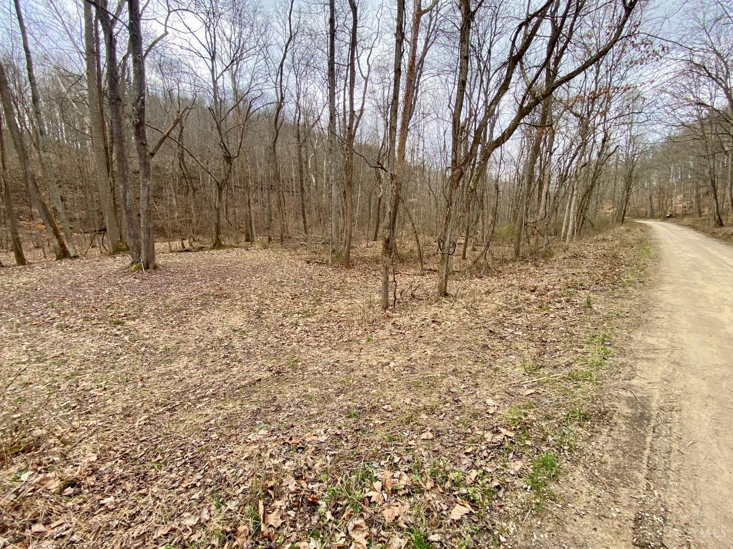 Ac Beech Fork Road Peebles, OH 45660 - Photo 7 of 49
