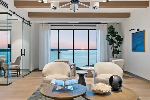 a living room with furniture and a potted plant