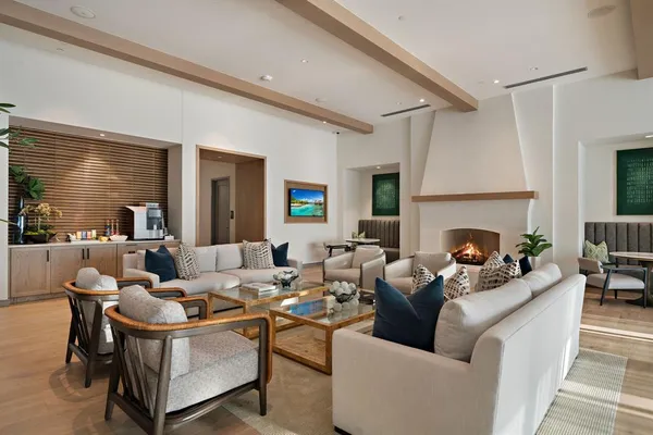 a living room with furniture potted plant and a fireplace