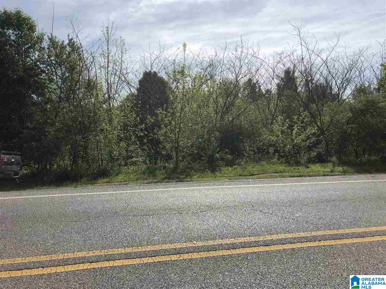 11-acres Morgan Road, Unit 11 ACRES Helena, AL 35022 - Photo 3 of 11