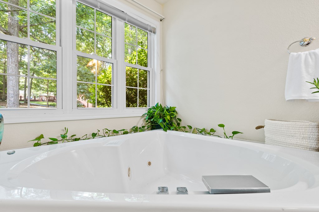 21 Red Oak Court Blue Ridge, GA 30513 - Photo 20 of 39 Jetted tub