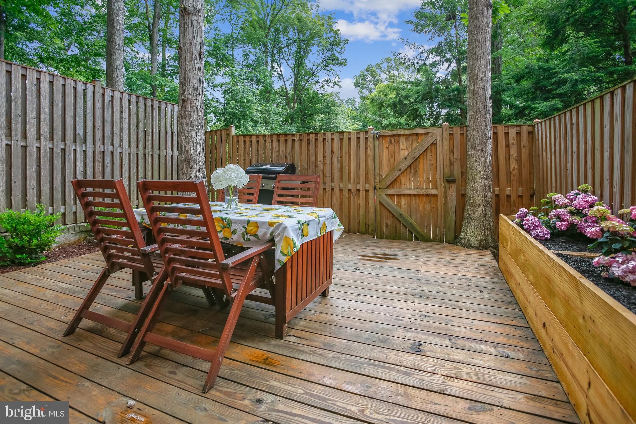 2403 Albot Road Reston, VA 20191 - Photo 3 of 47 Lovely private setting and easy care yard.