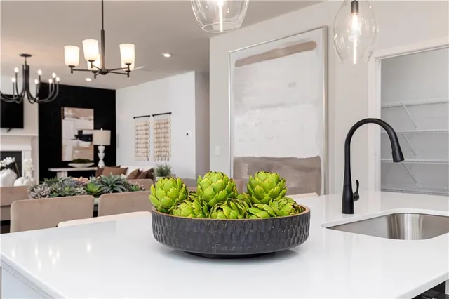 $389,990 | 313 Chattahoochee Circle, Locust Grove, GA 30248