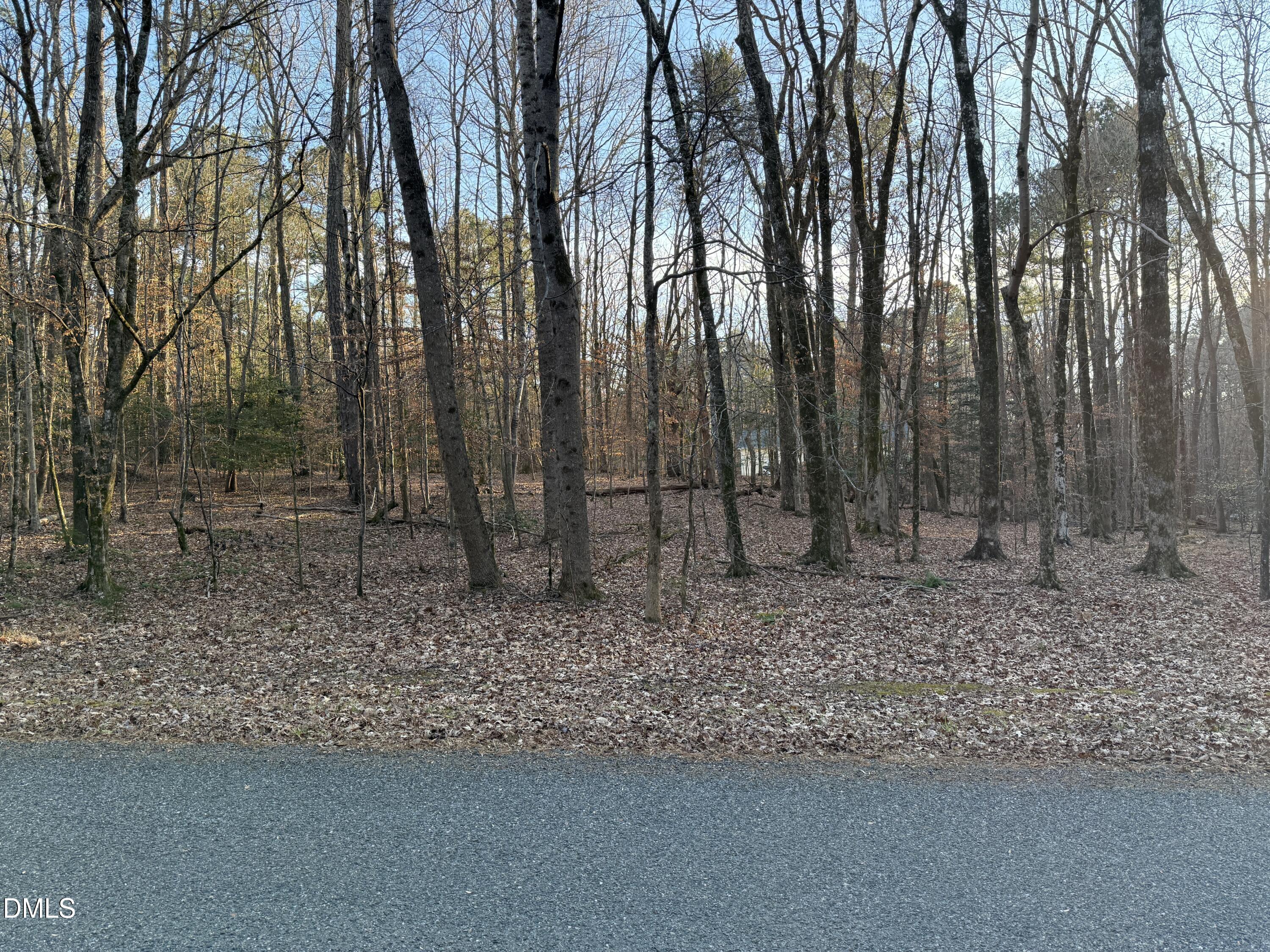 0 Woodland Road Littleton, NC 27850 - Photo 4 of 11 a backyard of a house with lots of trees