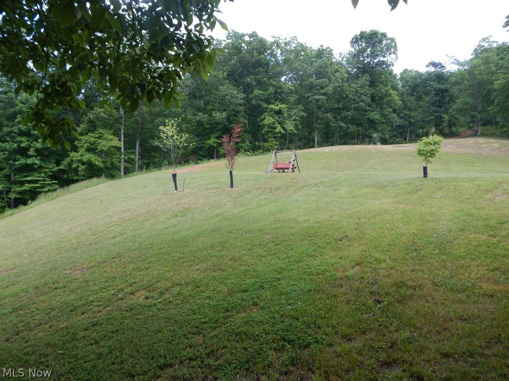 484 Trap Run Road Walker, WV 26180 - Photo 26 of 29