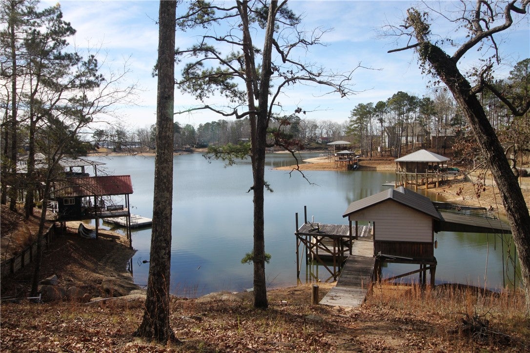 28 Antler Road Dadeville, AL 36853 - Photo 4 of 25 Gallery Image 4