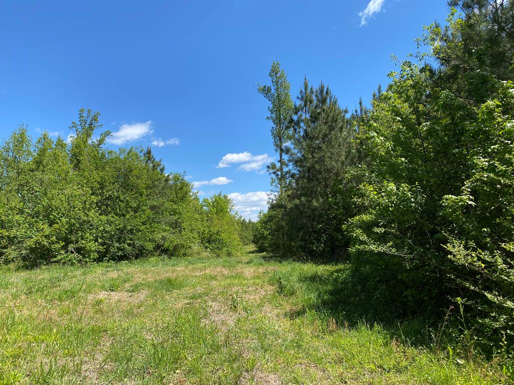 630 Mountain Hall Road, Unit 27D Crewe, VA 23930 - Photo 6 of 39 Gallery Image 6