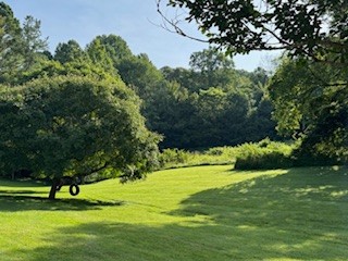 301 Red Tuttle Road Bethpage, TN 37022 - Photo 7 of 9 a big yard with lots of green space and trees