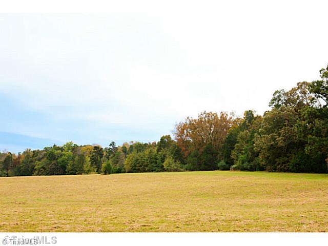 6100 Thompson Mill Road Graham, NC 27253 - Photo 6 of 8 Exterior Front.