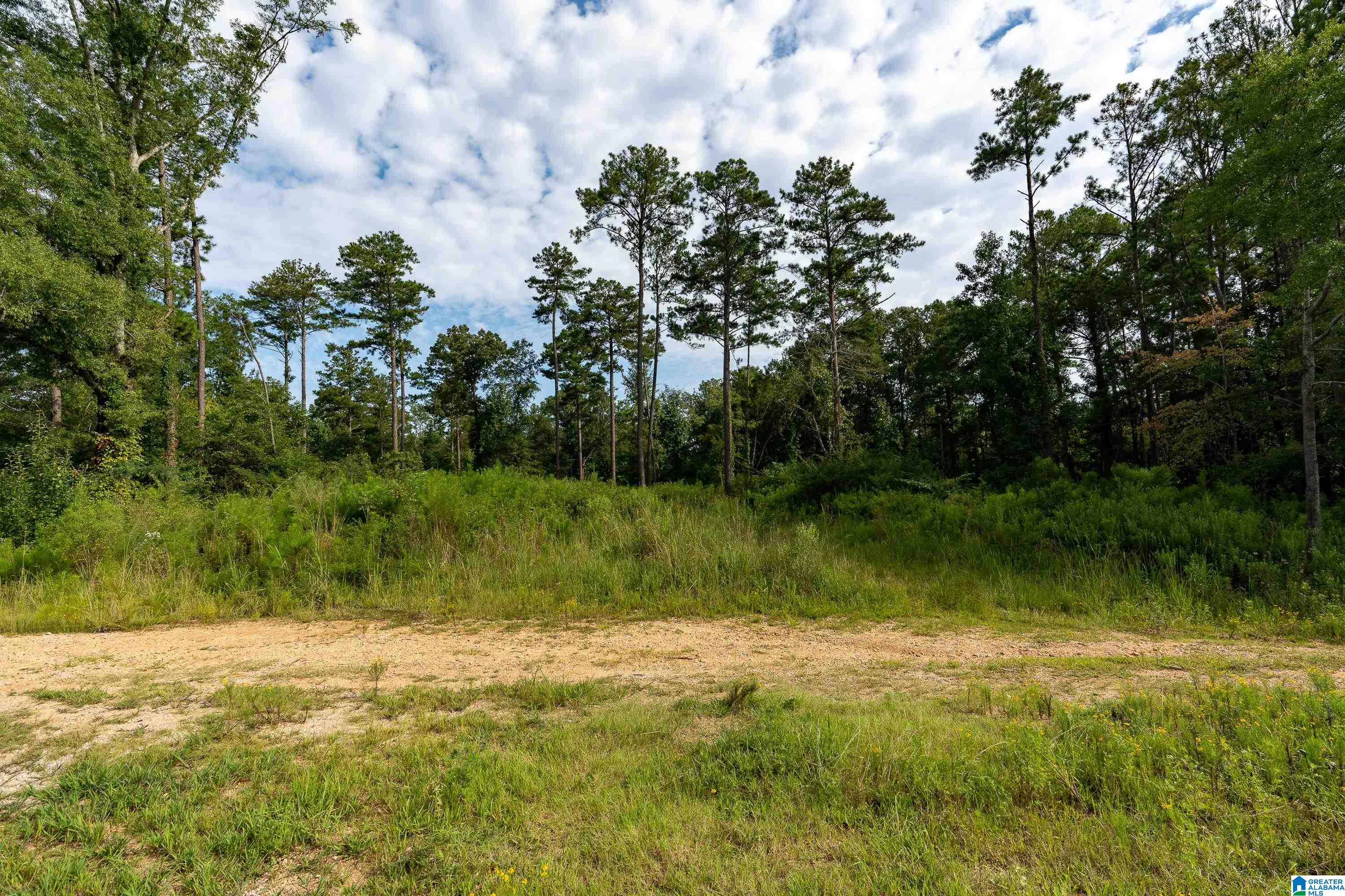1062 Nixon Road Bessemer, AL 35022 - Photo 8 of 13