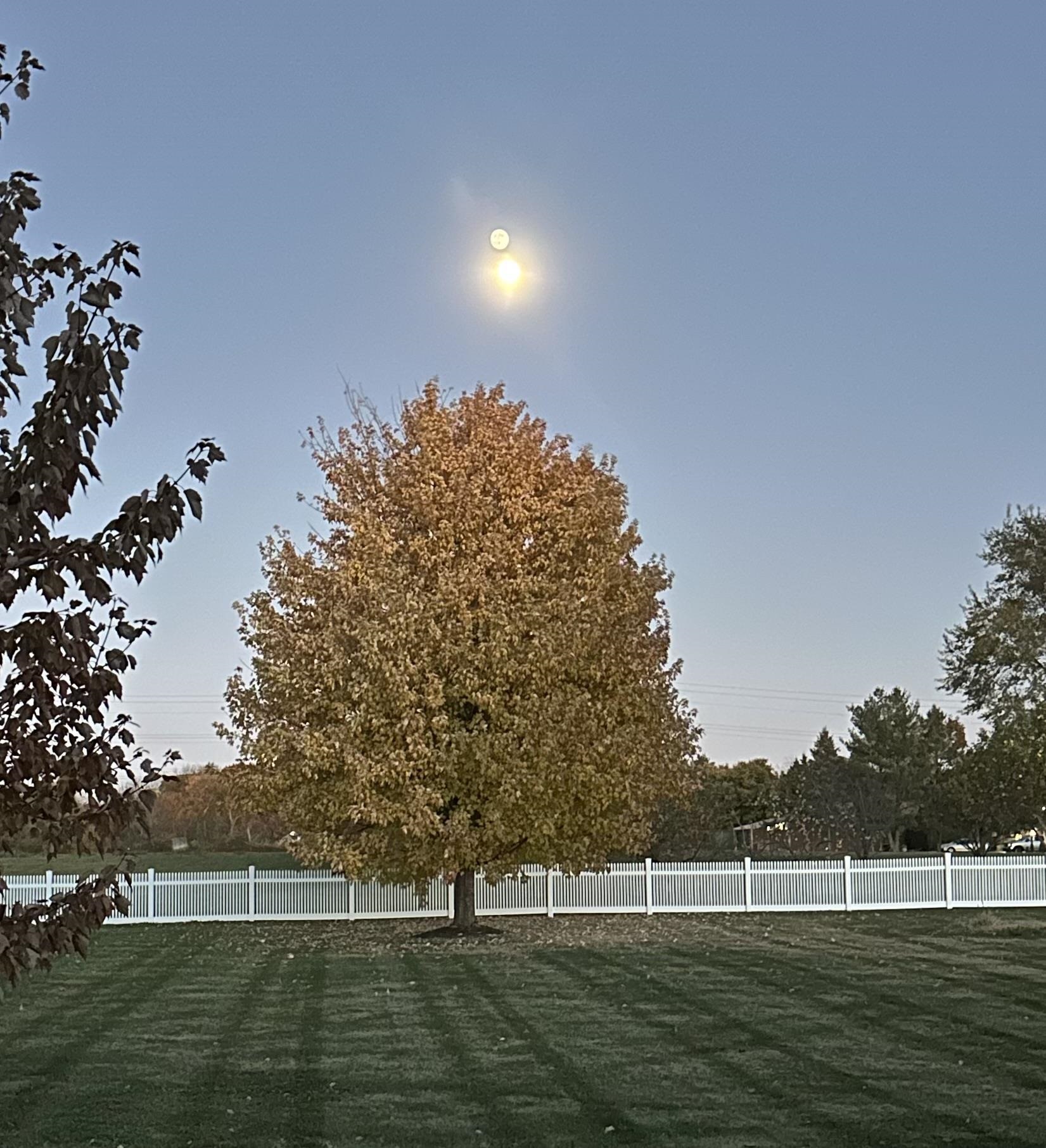 8551 Rote Road Rockford, IL 61107 - Photo 80 of 92