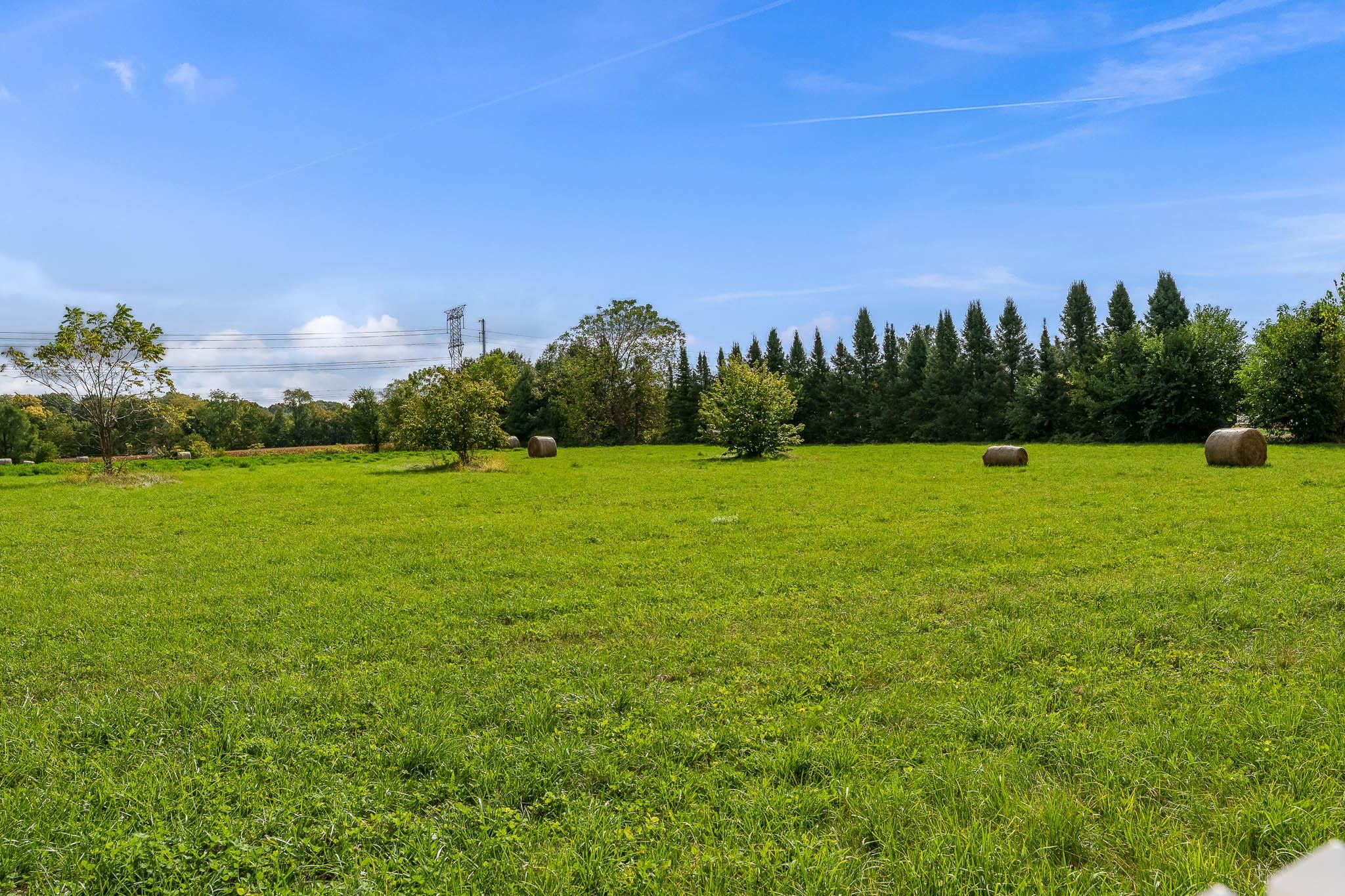 8551 Rote Road Rockford, IL 61107 - Photo 84 of 92 a view of a green field with trees in the background