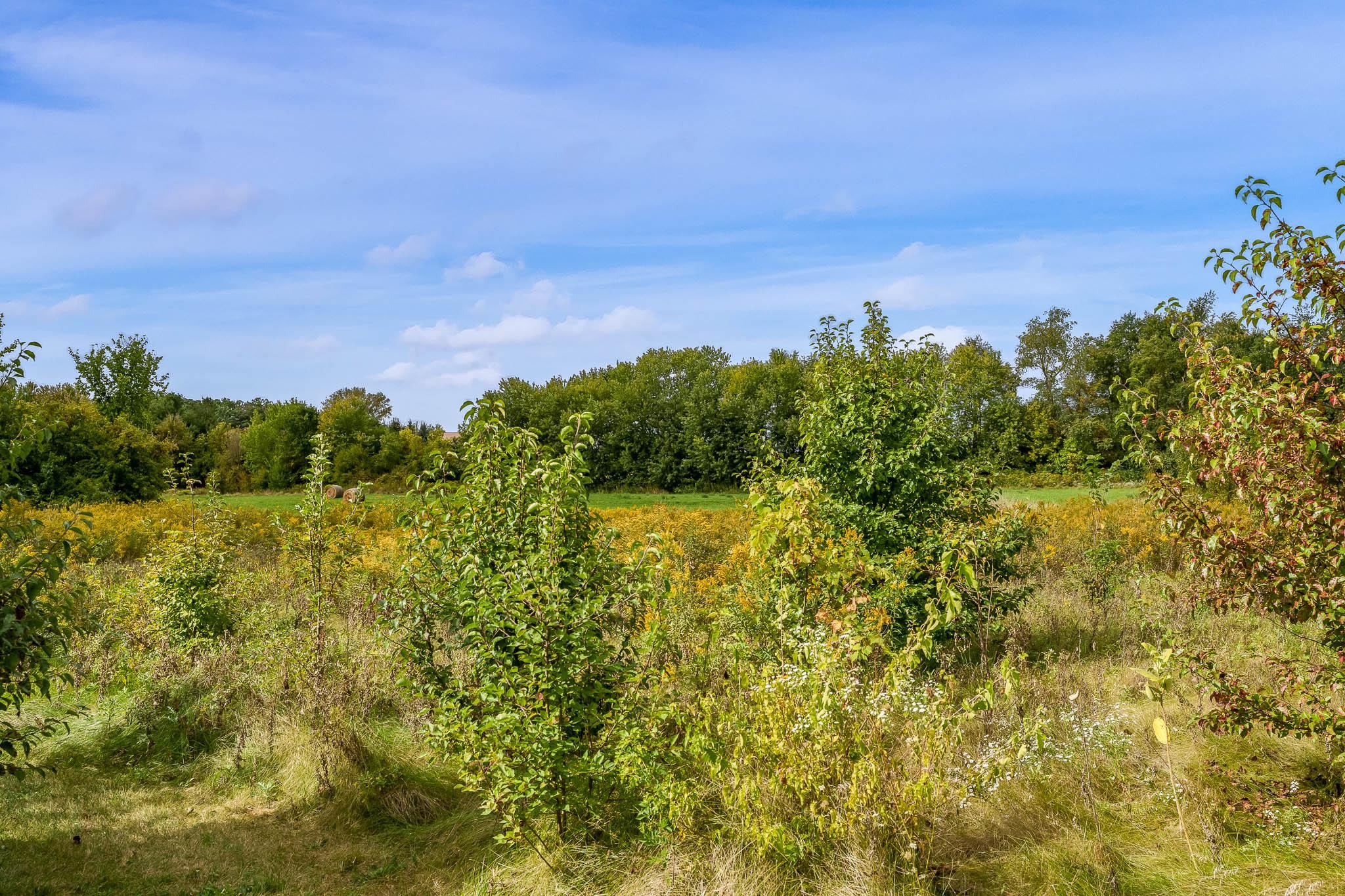8551 Rote Road Rockford, IL 61107 - Photo 91 of 92 a view of a lake
