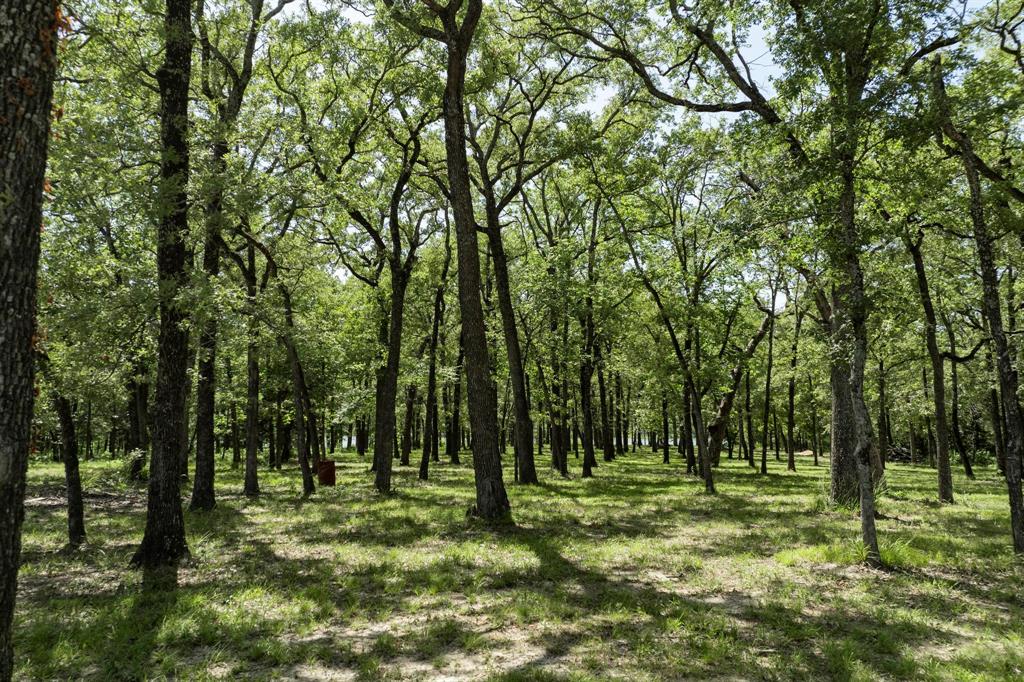 a view of outdoor space with trees