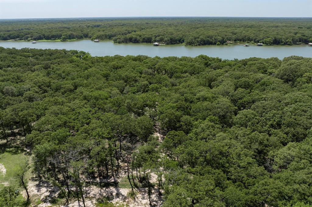 Lot 71 Anchor Quinlan, TX 75474 - Photo 11 of 18 a view of a lake in middle of forest