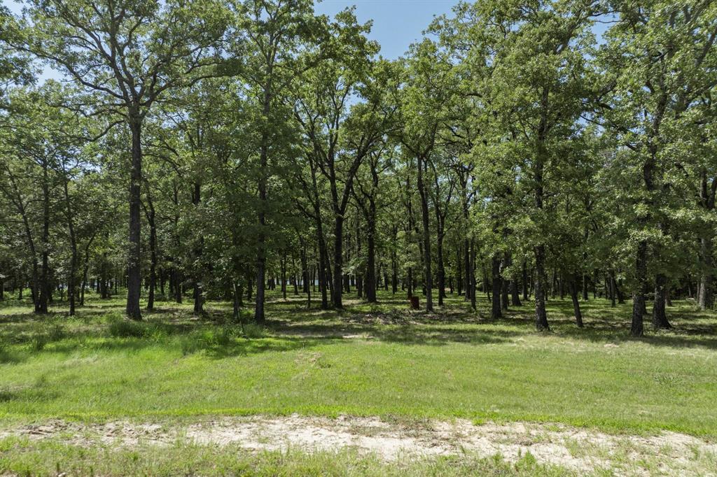 Lot 71 Anchor Quinlan, TX 75474 - Photo 16 of 18 a view of park
