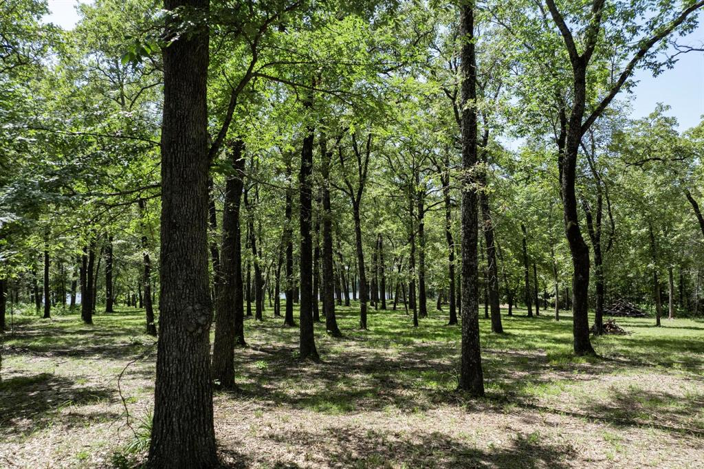 Lot 71 Anchor Quinlan, TX 75474 - Photo 17 of 18 a view of a forest
