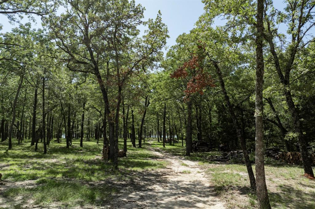 Lot 71 Anchor Quinlan, TX 75474 - Photo 18 of 18 a view of a trees with a yard