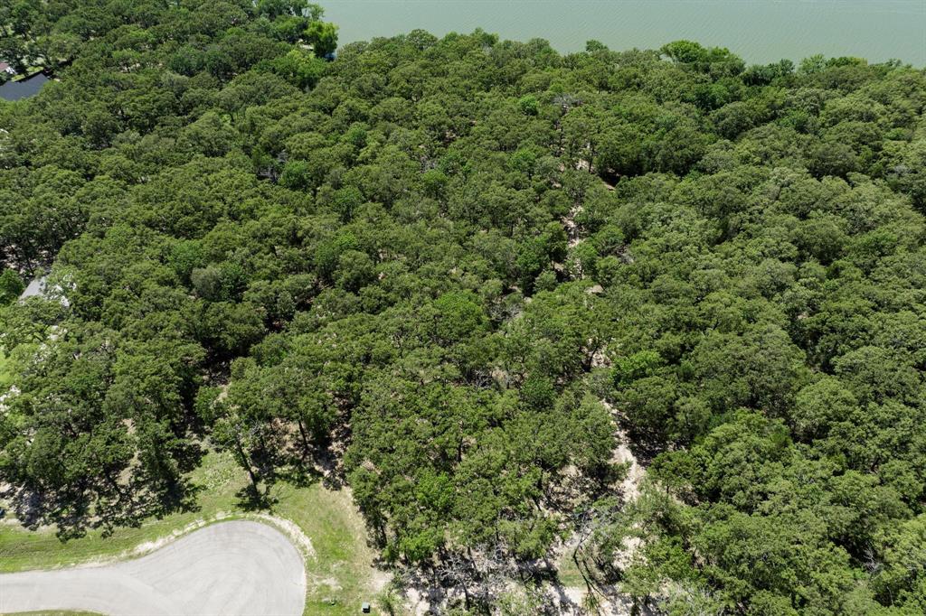 Lot 71 Anchor Quinlan, TX 75474 - Photo 10 of 18 an aerial view of a house with a yard