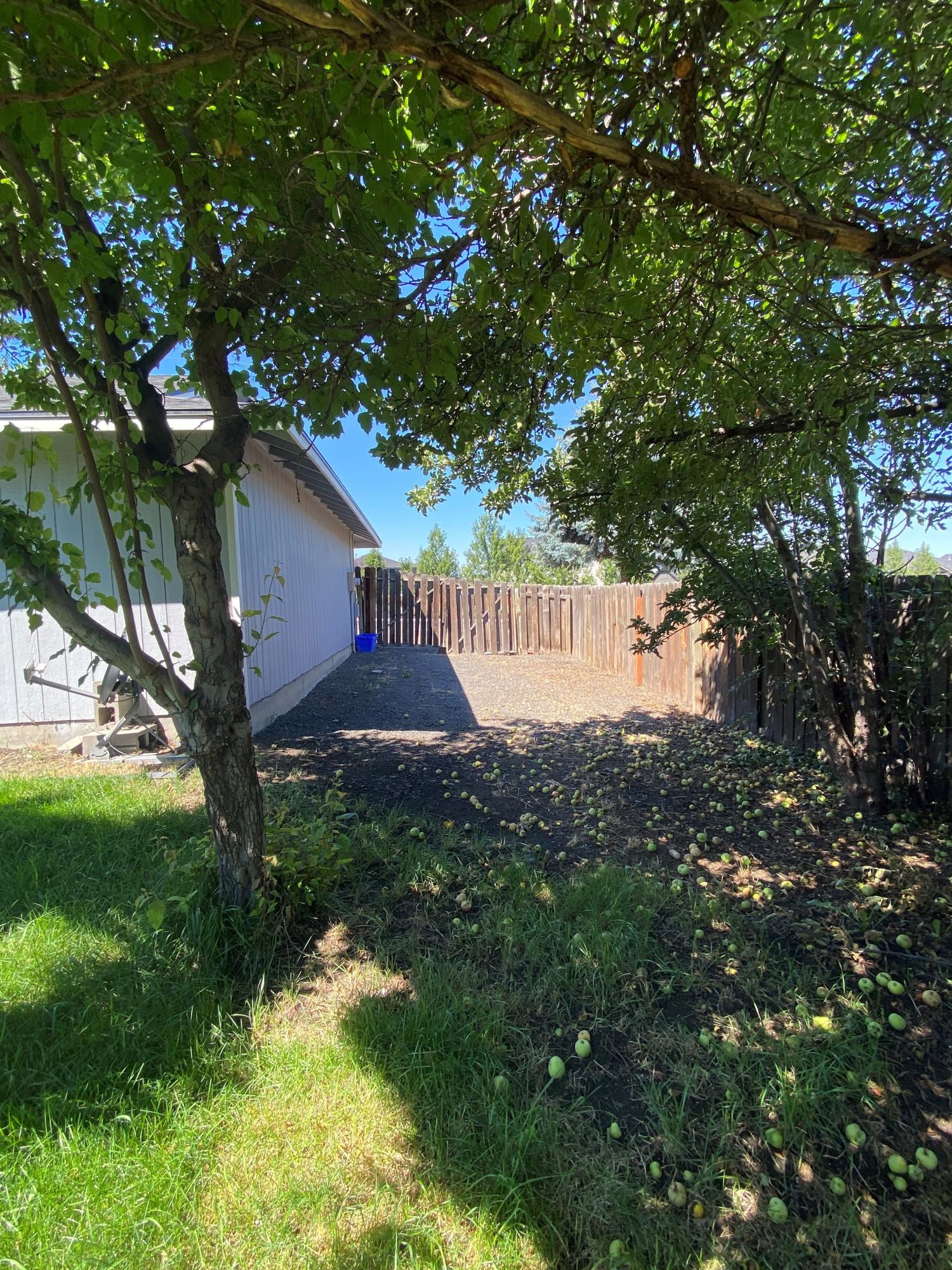 1844 Southwest 35th Street Redmond, OR 97756 - Photo 6 of 16 Side yard