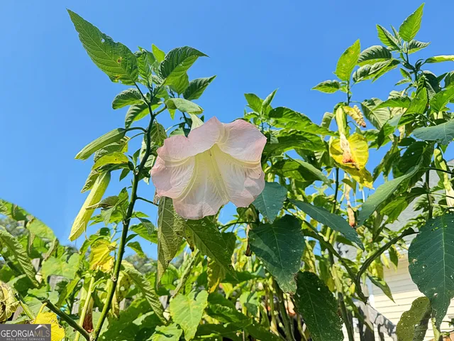 $869,000 | 605 Rowe Road, Senoia, GA 30276