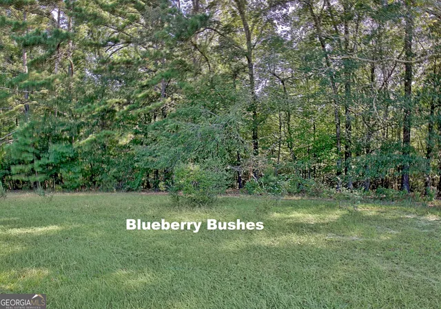 $869,000 | 605 Rowe Road, Senoia, GA 30276