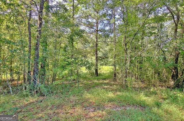 $869,000 | 605 Rowe Road, Senoia, GA 30276