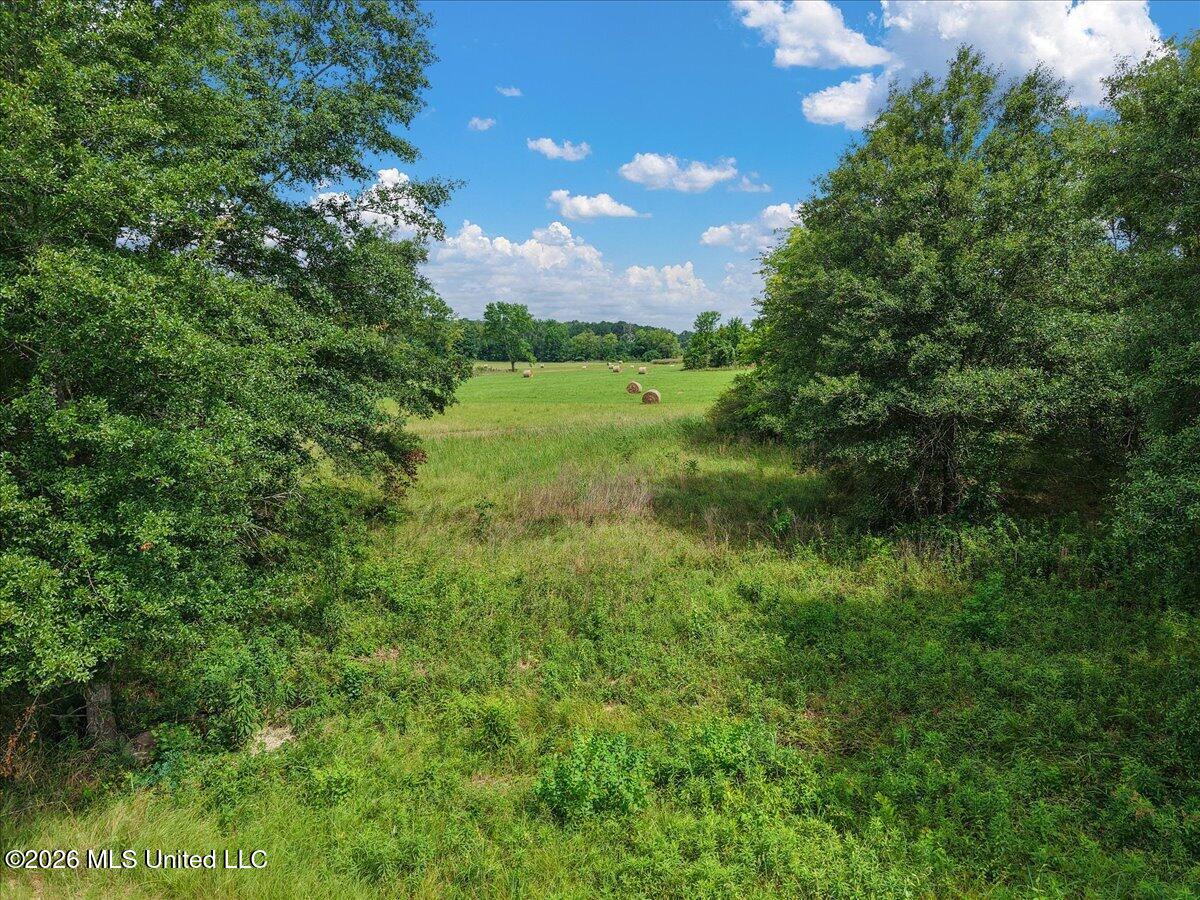 0 Us-80 Forest Forest, MS 39074 - Photo 12 of 16 10-IMG_3612