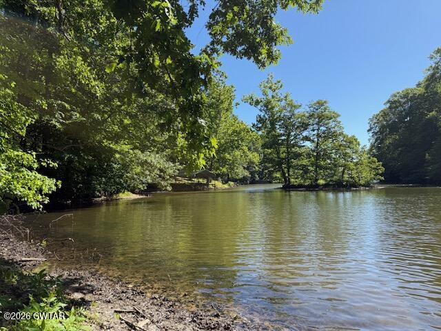 930 Oak Ridge Road Dyersburg, TN 38024 - Photo 4 of 59 a view of an ocean with a lake