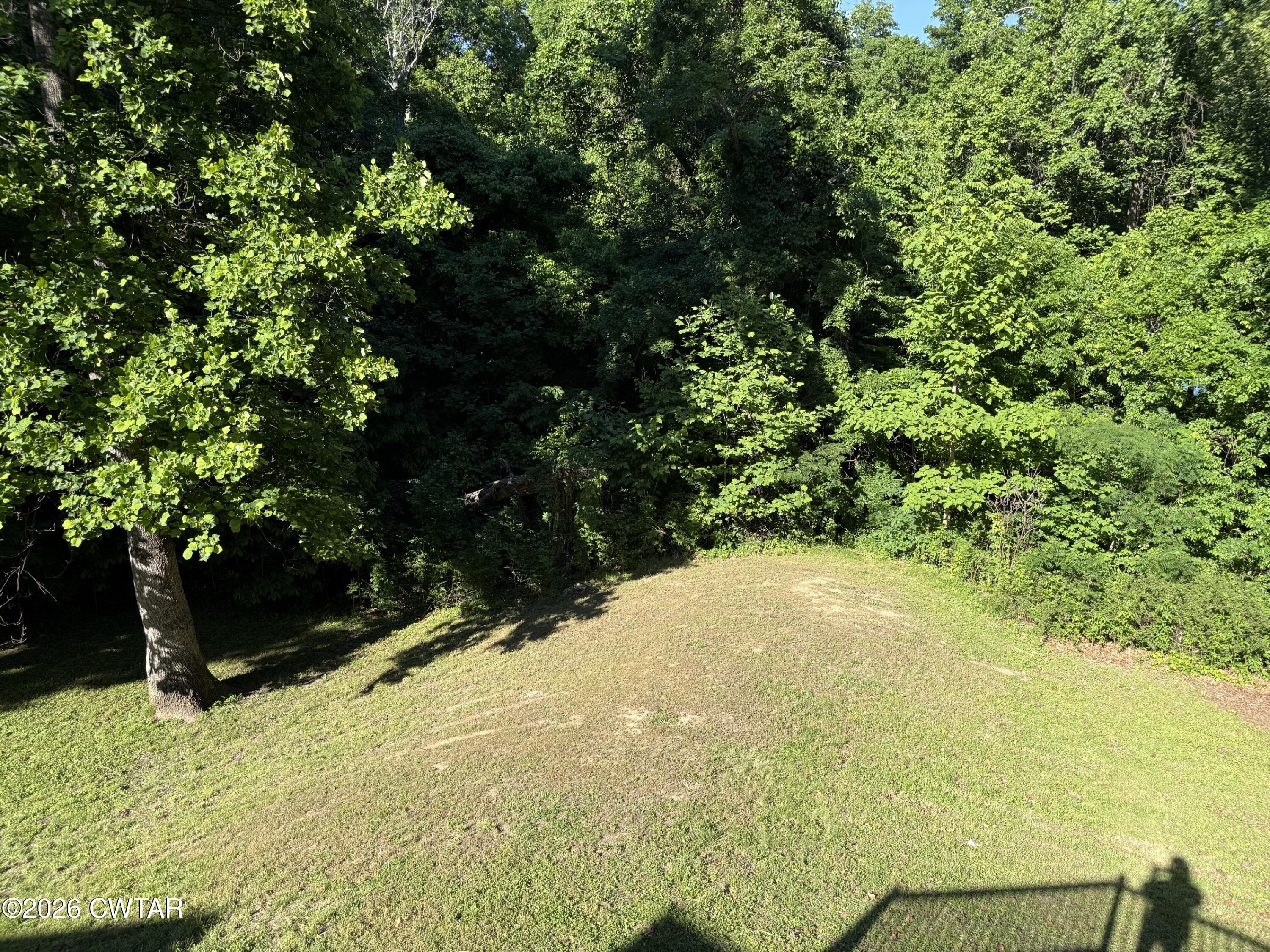 930 Oak Ridge Road Dyersburg, TN 38024 - Photo 52 of 59 a view of yard with green space
