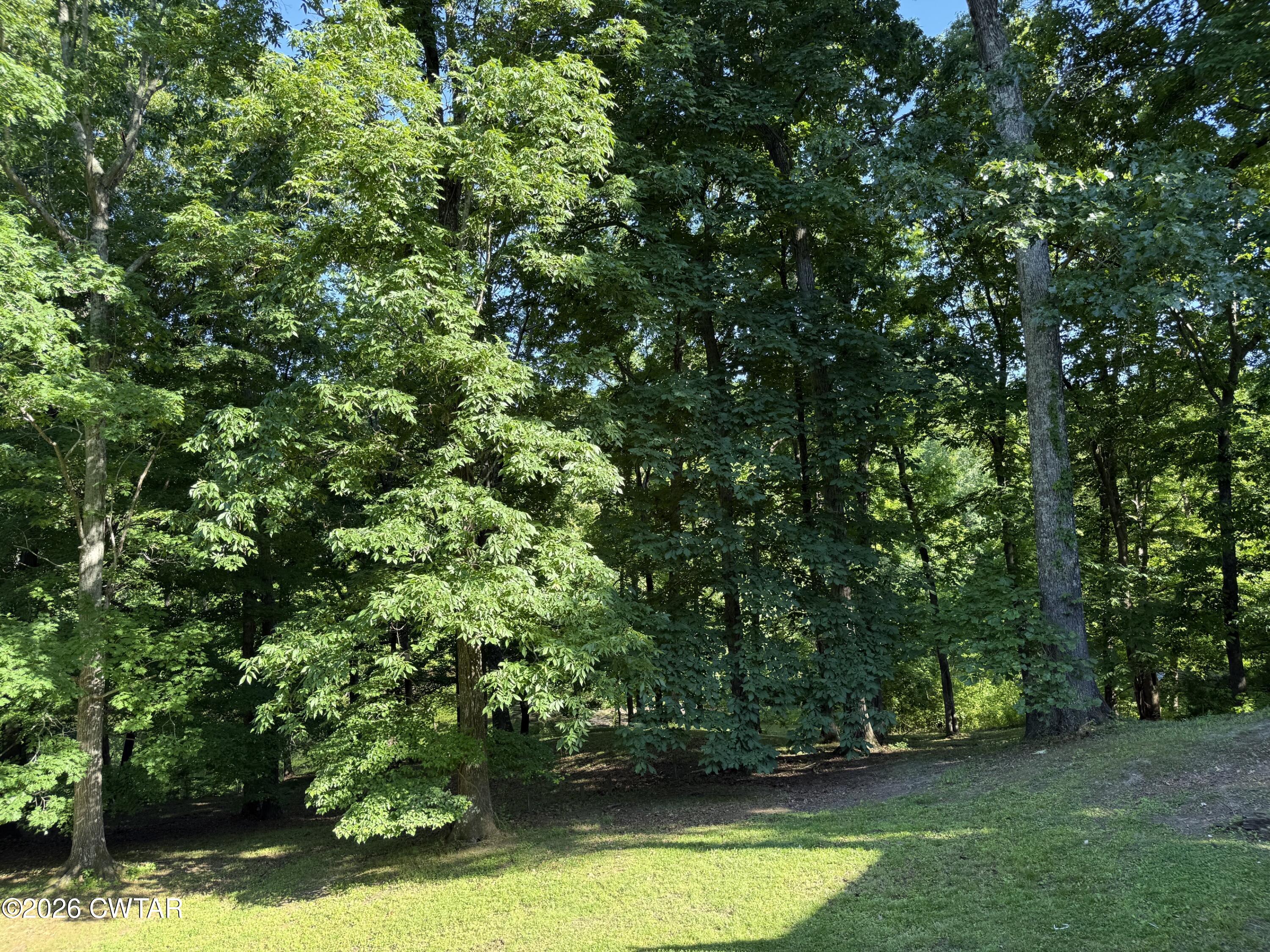930 Oak Ridge Road Dyersburg, TN 38024 - Photo 56 of 59 a view of yard with green space