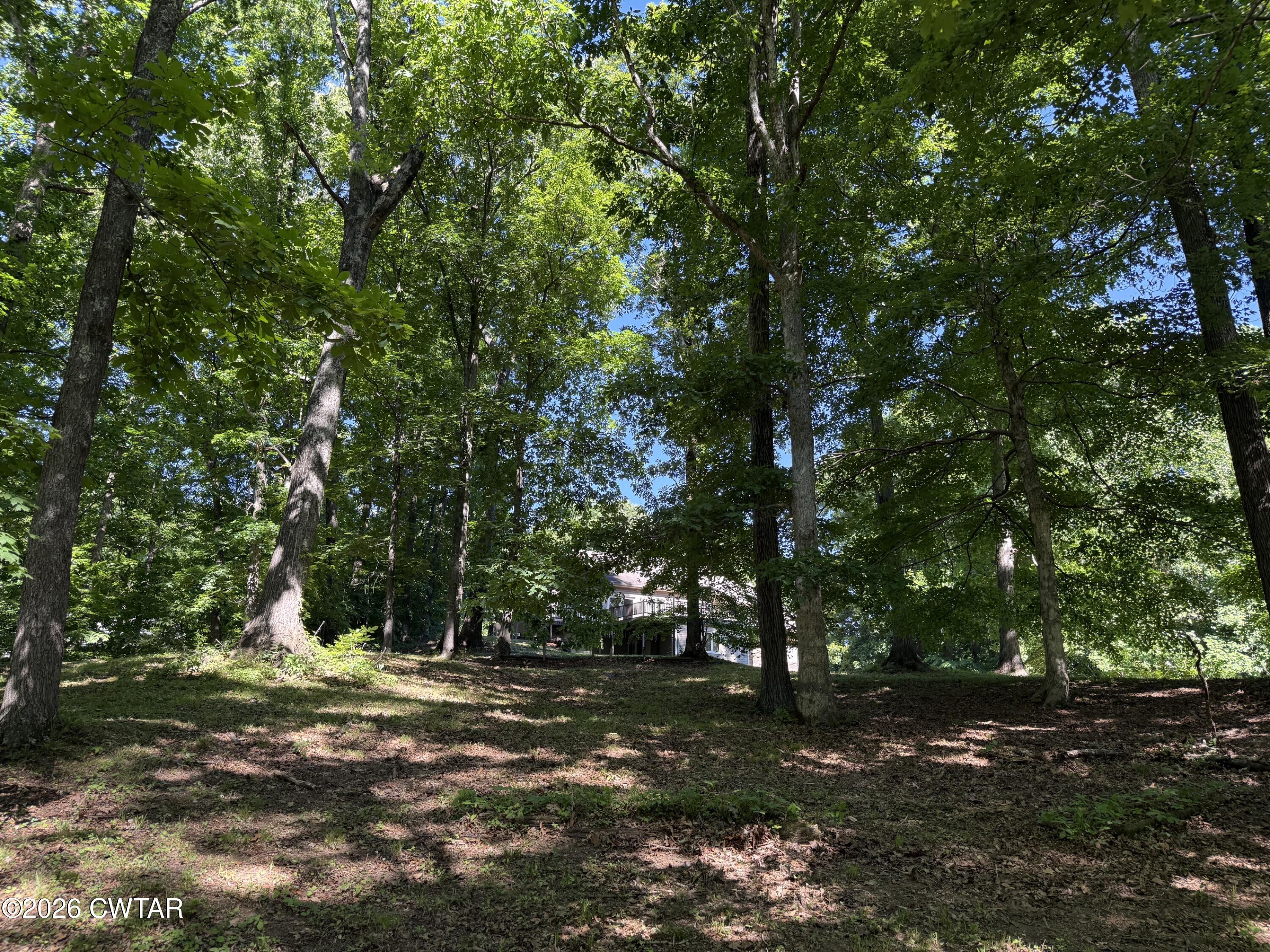 930 Oak Ridge Road Dyersburg, TN 38024 - Photo 57 of 59 a view of a tree in the middle of a yard