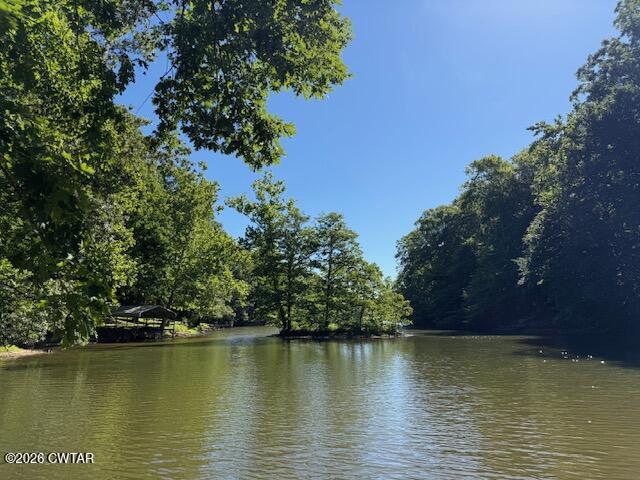930 Oak Ridge Road Dyersburg, TN 38024 - Photo 6 of 59 a view of an ocean with trees