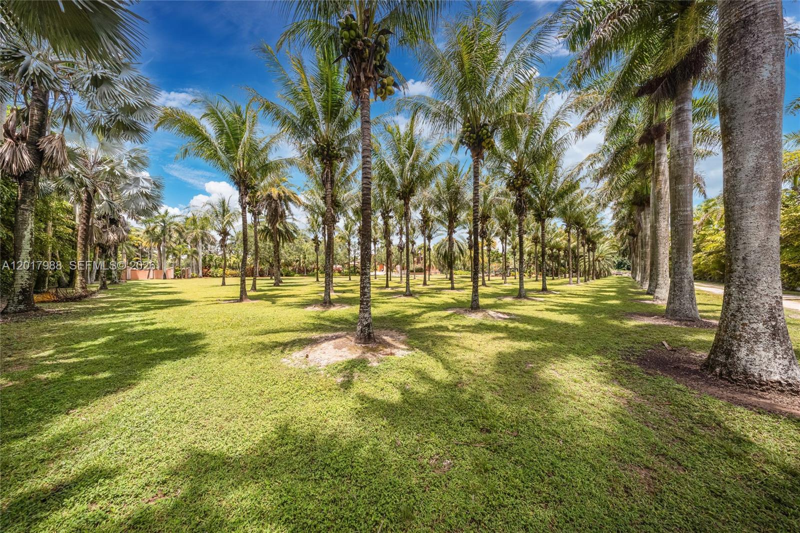 17201 Southwest 248th Street Homestead, FL 33031 - Photo 84 of 104