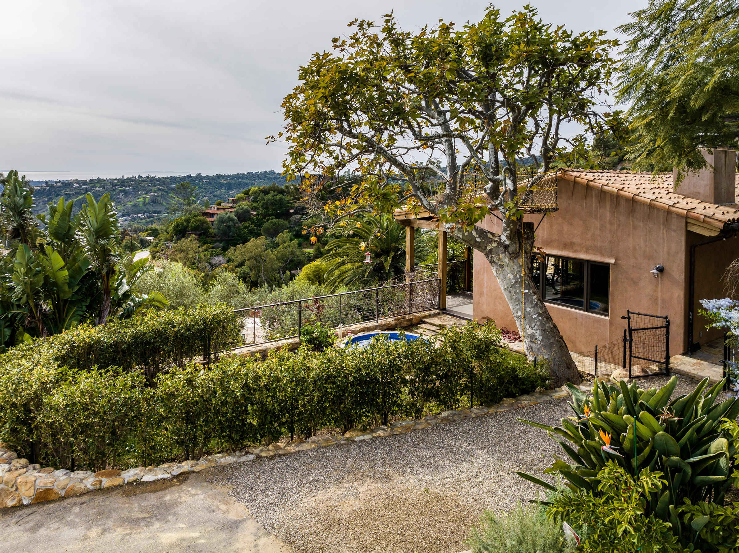 356 East Mountain Drive Montecito, CA 93108 - Photo 15 of 36 a view of a garden with plants and large trees