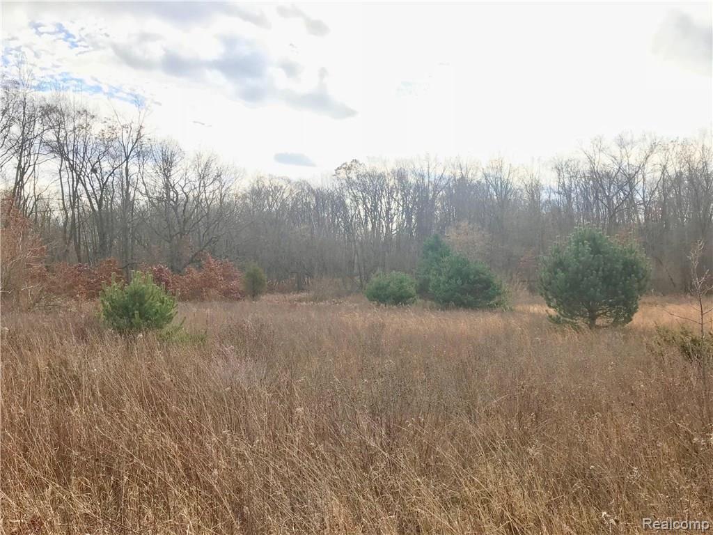 0 Lannen Road Howell, MI 48855 - Photo 13 of 26