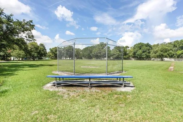 a view of a park with large trees