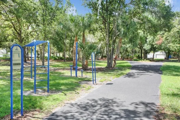 a view of a park with large trees