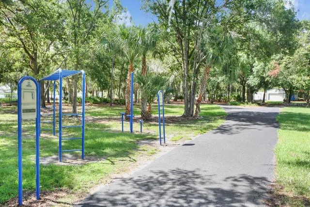 a view of a park with large trees
