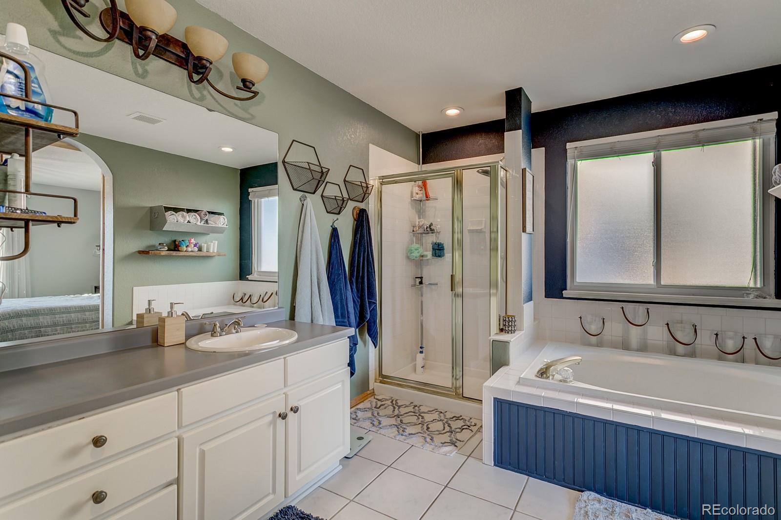 10018 Silver Maple Circle Highlands Ranch, CO 80129 - Photo 26 of 40 Gallery Image 26