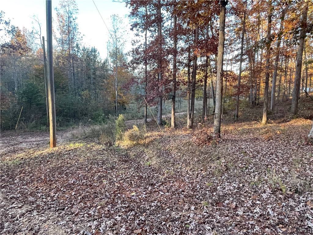 412 State Rd S-37-204 Seneca, SC 29678 - Photo 30 of 32 Gallery Image 30