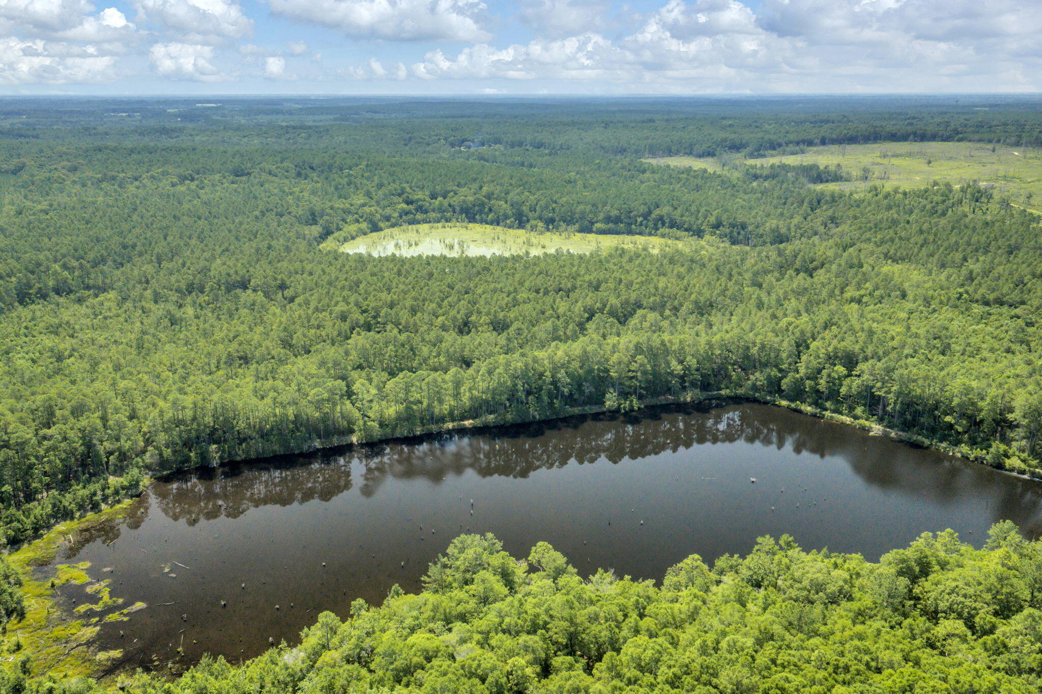 82 Acres 4 Flags Road Laurel Hill, FL 32567 - Photo 17 of 45 12-web-or-mls-DJI_20260702102248_0524_D