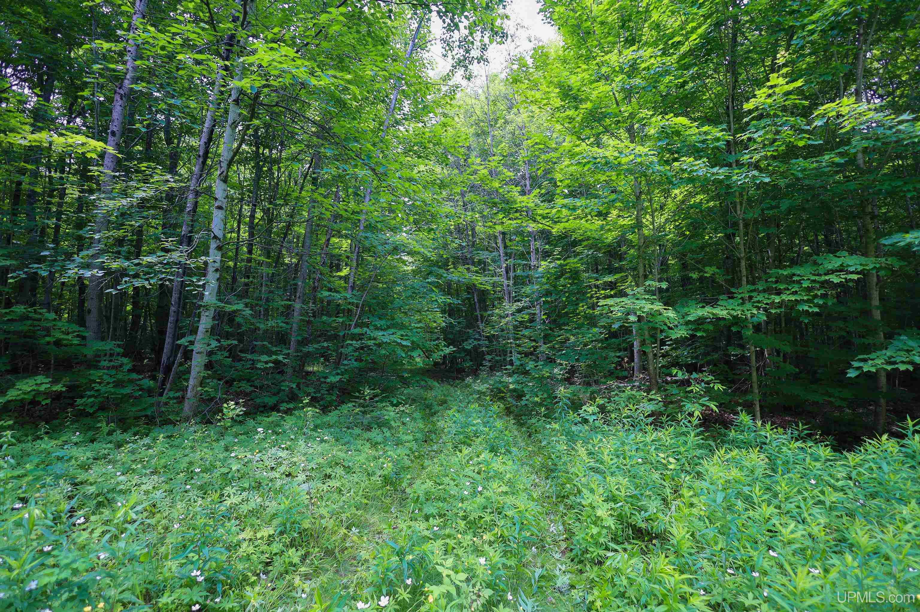 Tbd Sigan Road Marquette, MI 49855 - Photo 19 of 32