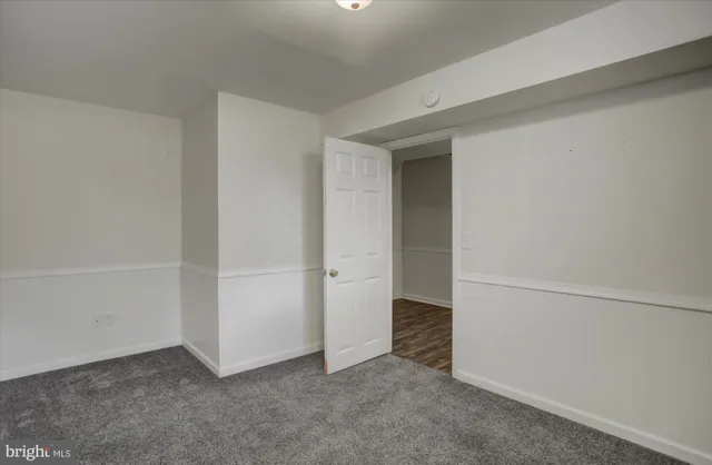 a view of backyard with plants and trees