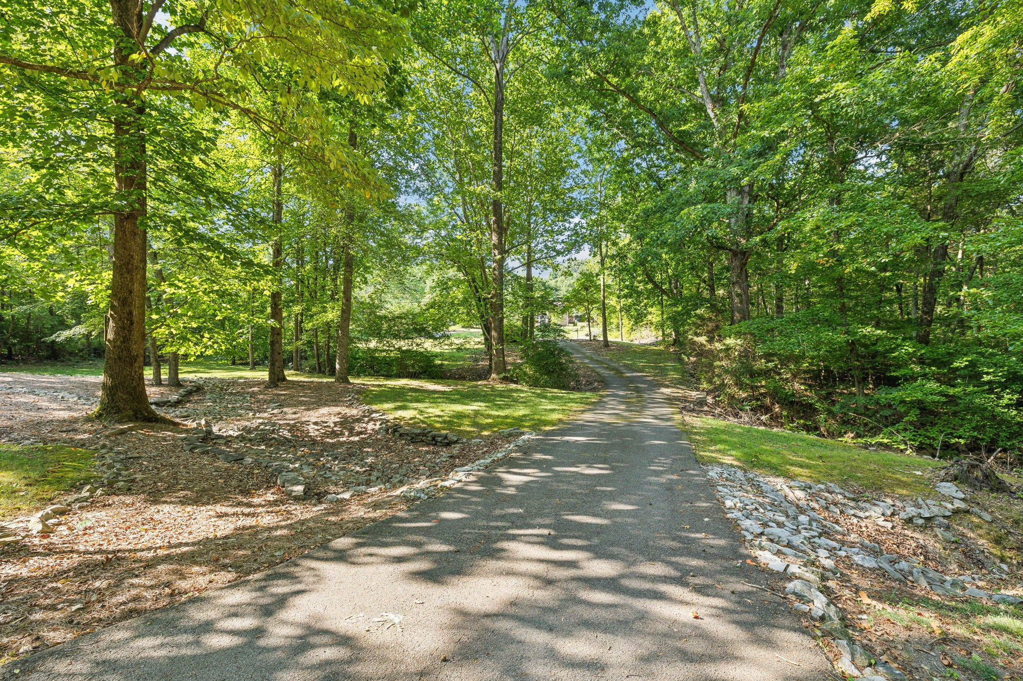 7126 Harding Drive Northwest Fairview, TN 37062 - Photo 19 of 22 a view of a tree in the middle of a yard