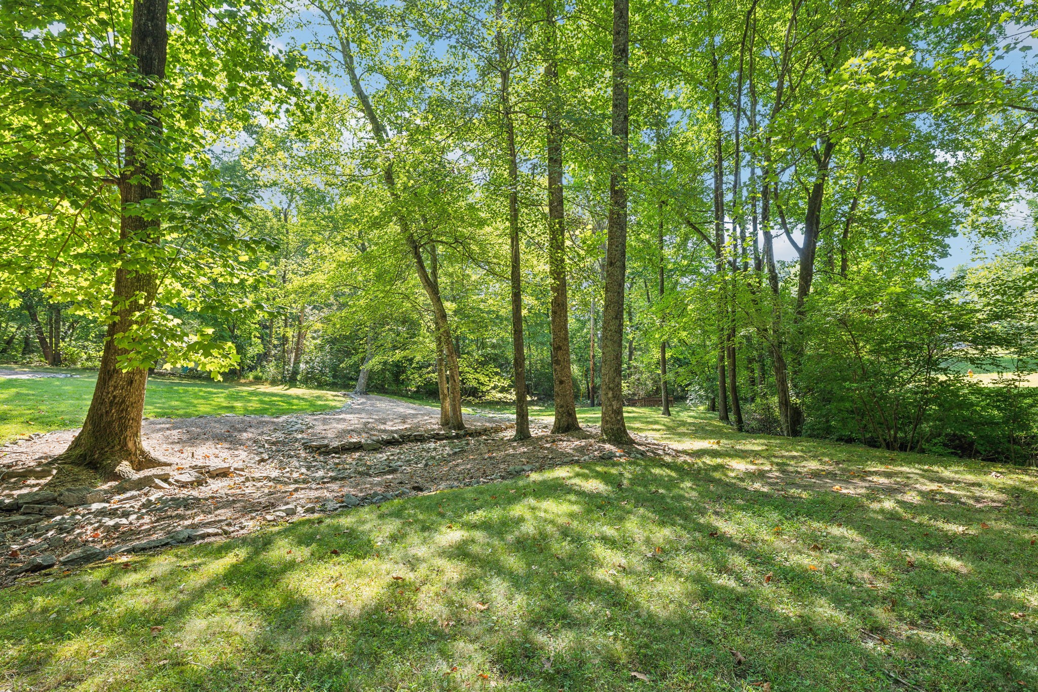 7126 Harding Drive Northwest Fairview, TN 37062 - Photo 22 of 22 a big yard with lots of green space and trees