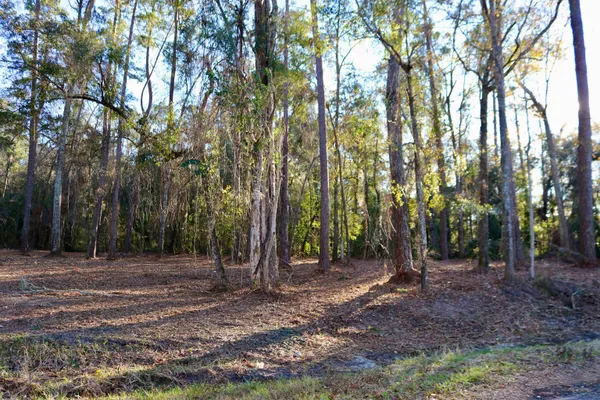 $395,000 | Xx Xx Shiver Road, Monticello, FL 32344