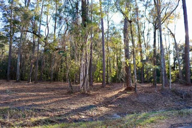 $395,000 | Xx Xx Shiver Road, Monticello, FL 32344